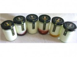 Brown Cow Organics has launched a range of live organic yoghurt for the hospitality industry