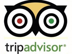 TripAdvisor's average ratings for hotels and B&Bs in the UK has risen sharply over the last eight years meaning we now have some of the highest standards of service in the world