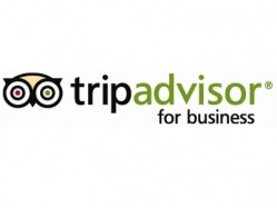 TripAdvisor for Business's global vice president of sales urges hotel and restaurant owners to respond to reviews to keep levels of interest high in their businesses