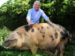 Robin Hutson's Home Grown Hotels, the owner of The Pig hotel brand, is planning to open a third under the Pig name this year 