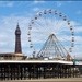 Seven in 10 Britons are opting for the UK seaside, amusement parks and city breaks
