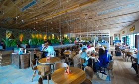Nando’s unveils first eco-friendly branch