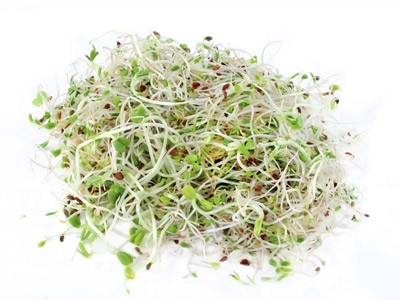 Packets of mixed seeds are now being investigated as the cause of the E.coli outbreak in Germany after beansprouts were ruled out