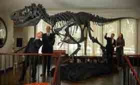 Gorgosaurus checks in at Park Lane hotel