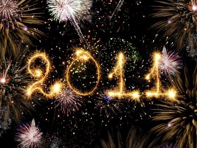 What does 2011 hold in store for your business?
