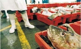 Not the End of the Line for sustainable fish restaurants