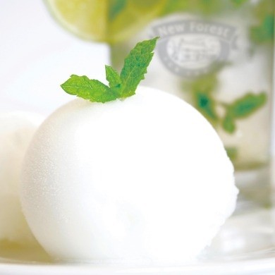 New Forest Ice Cream targets festive menus with mojito sorbet