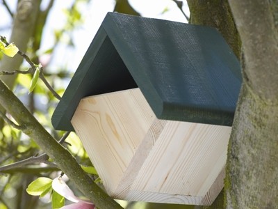 Premier Inn is installing bird boxes at all of its hotels to help support the environment