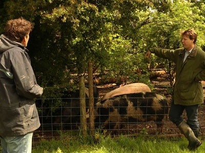 Jamie Williams, owner of Lock's Drove Farm, and Mark Reynolds, operations director of Renaissance Pubs, investigate the pigs on the farm the pub company invested directly in