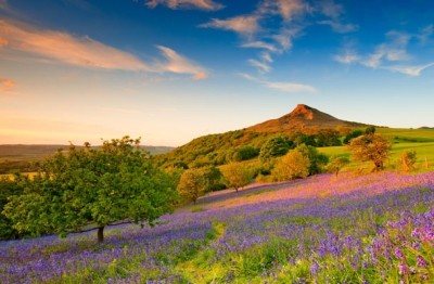 More international tourists headed to the English regions than ever befor last year. Photo: VisitEngland