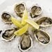 Herpes outbreak devastates Kent oysters