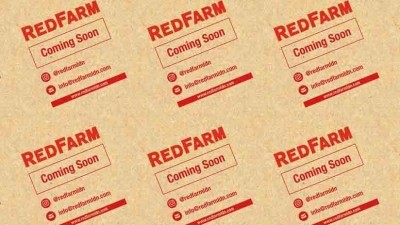 One year later, NYC-born RedFarm is set for London launch