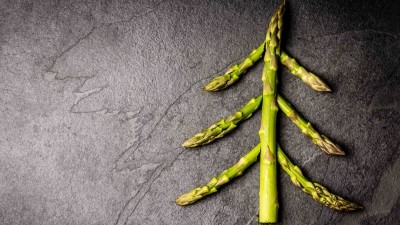 Dreaming of a green Christmas: how restaurants can let vegans get festive 