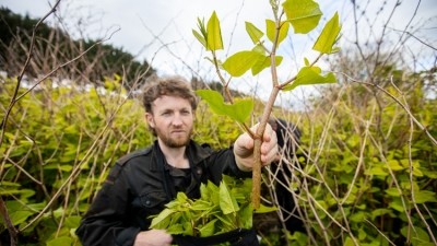Silo chef Douglas McMaster on using invasive species in cooking