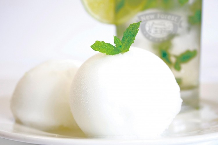 Mojito sorbet: Can be served as a standalone product or as an accompaniment to other dishes