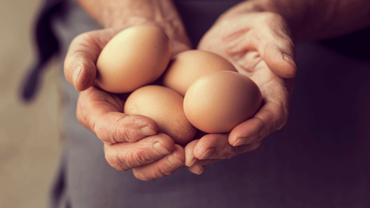 Restaurants urged to check their eggs as Fipronil scandal worsens