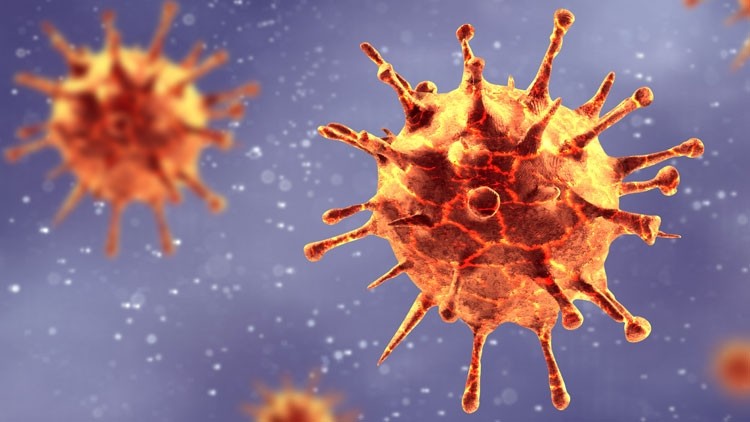 Restaurants 'should plan for the worst-case scenario' with coronavirus