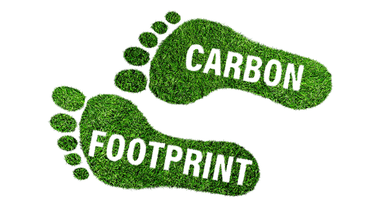 how can I calculate and offset the carbon footprint of a hospitality business