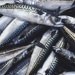 chefs respond to mackerel over-fishing fears 
