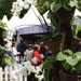Creativevents and The Fine Food Company win Hampton Court Flower Show catering contract