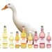 The Heartsease Farm soft drink range comes in five different flavours