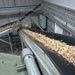 Work starts to improve efficiency of restaurant food waste recycling