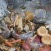 Carbon Statement hospitality food waste report 