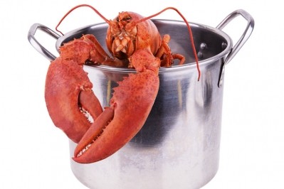The Lowdown: Labour's lobster law