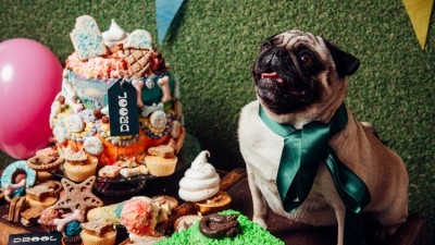 The Lowdown: Drool ‘the world's first food hall’ devoted entirely to dogs in Bournemouth 