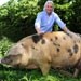 The Pig hotel expansion to Bath