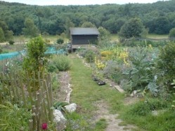 Allotment growers who supply Terre a Terre with surplus vegetables can earn themselves a free meal at the restaurant