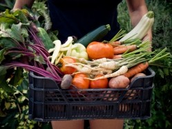 Veg looming large in 2013: Restaurant magazine has predicted what the next year might hold for operators - vegetables are likely to feature more heavily on menus but food inflation is also set to soar