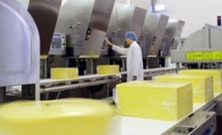 Blocks of cheddar produced at the Taw Valley Creamery