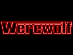 Werewolf nightclub ranges over two floors and can fit 400 people