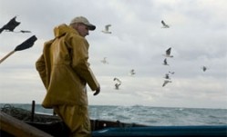 Porceeds from Dermot O'Leary's Fishy Fishy Feast will go to help fishermen and their communities