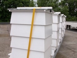 Lancaster London installed beehives on its roof as part of its green strategy