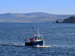 Devon's waters are abundant with fresh, quality seafood