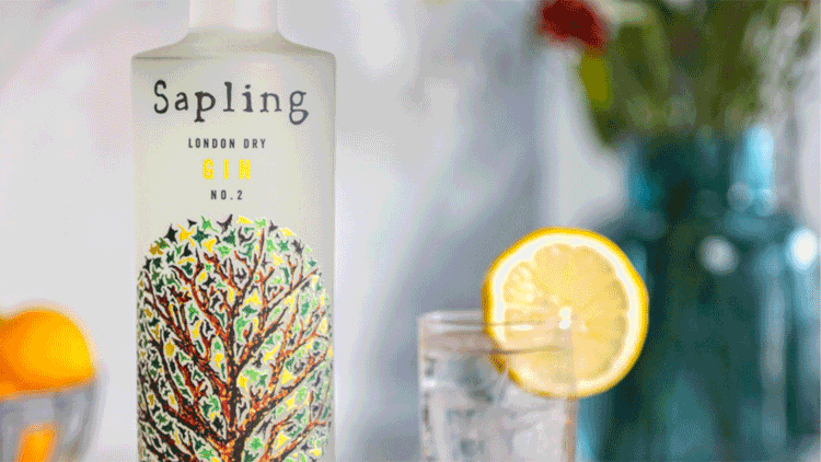 sapling-gin-web